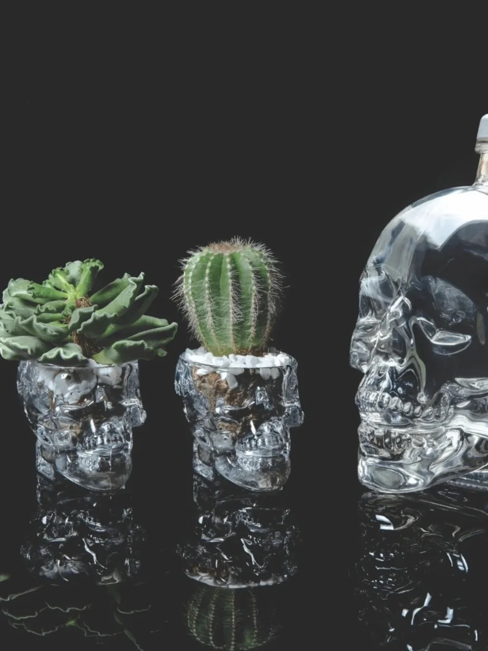 Crystal Head Vodka Skull Shot Glasses Set of 4